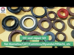 Kit perbaikan segel minyak - Kit Boom cyl kit/Bucket cyl kit/Arm cyl kit