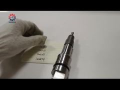 Introduce Injector 0445120391 0445120266 0445120265 0445120474 WP10 For You