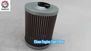 FF5584 P550839 7029275 20549350 Filter Bahan Bakar