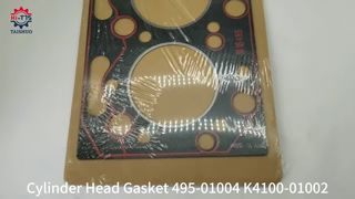 Gasket Kepala Silinder 495 495ZC