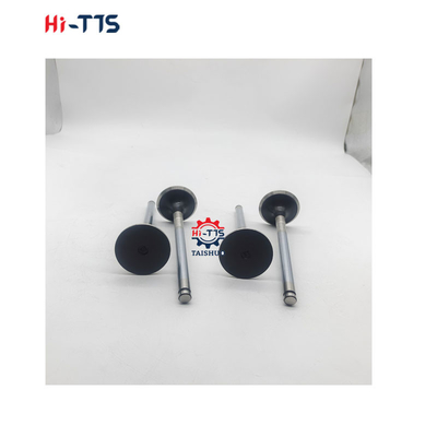 D2366 Mesin Diesel suku cadang Inlet Valve 6504101-0044