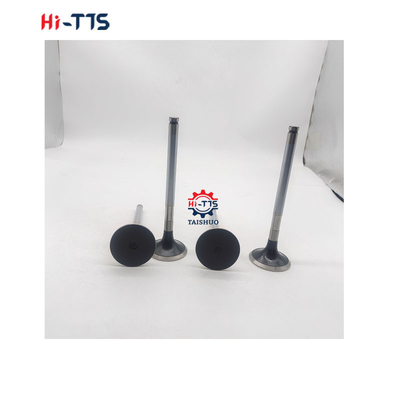D2366 Mesin Diesel suku cadang Inlet Valve 6504101-0044
