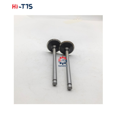 6BT 4BT Mesin Diesel suku cadang Inlet Valve 3901117 3920867 3920868