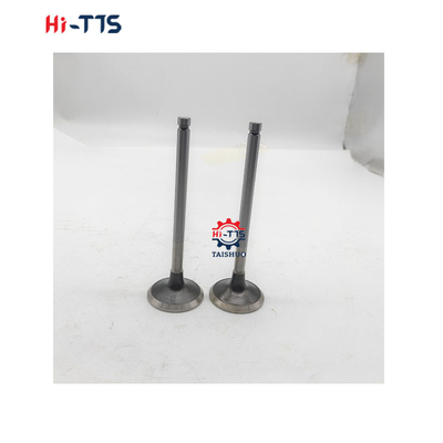 6BT 4BT Mesin Diesel suku cadang Inlet Valve 3901117 3920867 3920868