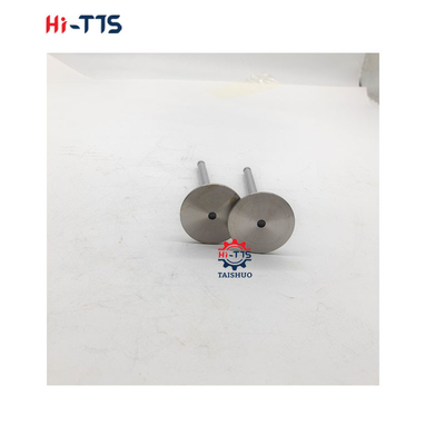 6BT 4BT Mesin Diesel suku cadang Inlet Valve 3901117 3920867 3920868