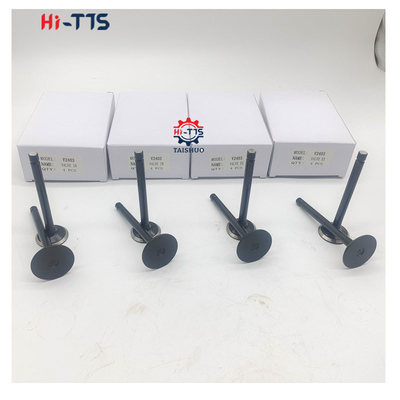 Harga bagus V2403 4D87 Katup Asupan Dan Keluar 16484-13120 16484-13110 Untuk Bagian Mesin Diesel Kubota on line