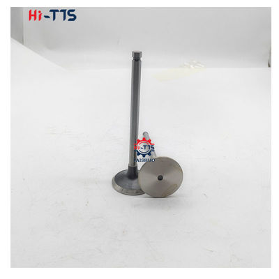 6BT 4BT Mesin Diesel suku cadang Inlet Valve 3901117 3920867 3920868